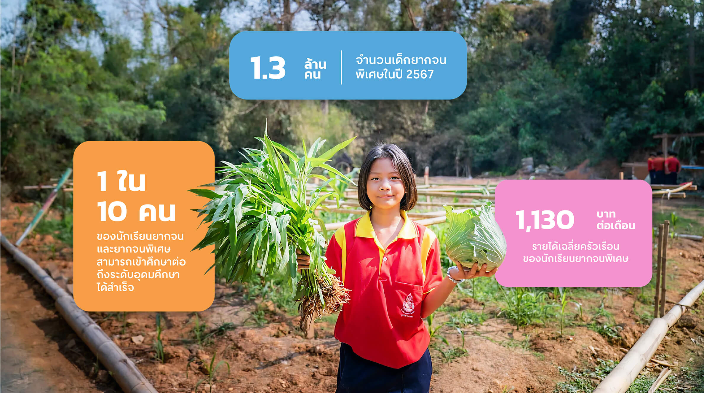 *ข้อมูลจาก รายงานฉบับพิเศษ สถานการณ์ความเหลื่อมล้ำทางการศึกษาปี 2567 และทิศทาง สำคัญในปี 2568 โดยกองทุนเพื่อความเสมอภาคทางการศึกษา